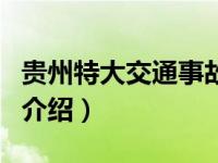 贵州特大交通事故（关于贵州特大交通事故的介绍）