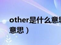 other是什么意思中文（other than是什么意思）