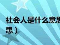 社会人是什么意思网络语言（社会人是什么意思）