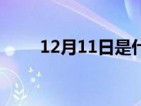 12月11日是什么星座（12月11日）