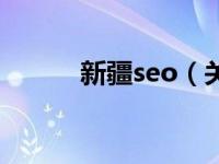 新疆seo（关于新疆seo的介绍）