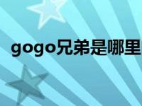 gogo兄弟是哪里的（gogo兄弟是哪里人）