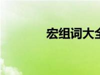 宏组词大全500个（宏组词）